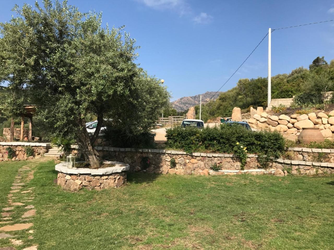 Il Giardino Di Daniela Apartments San Teodoro  Eksteriør bilde